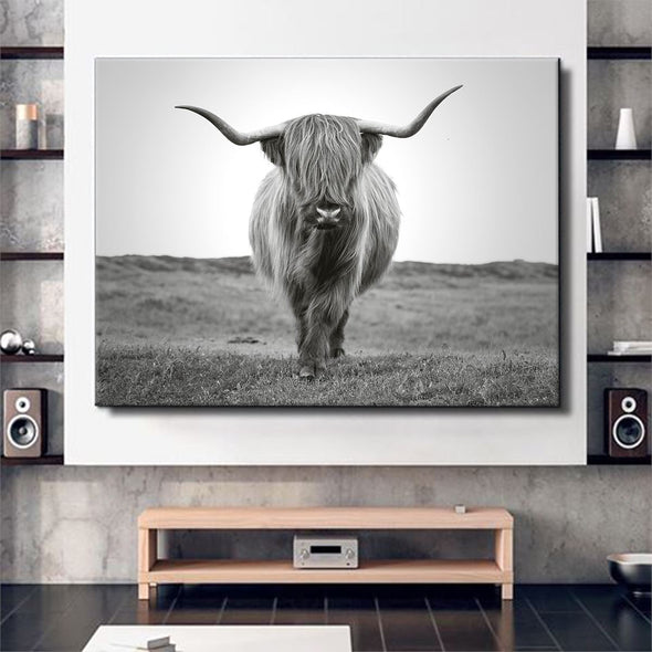 Scottish Bull